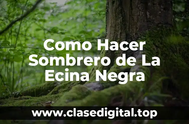 Como Hacer Sombrero de La Ecina Negra