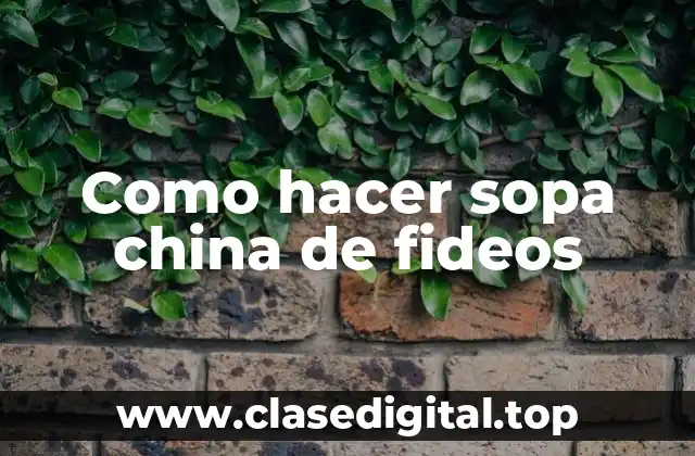 ¿Qué es la sopa china de fideos?