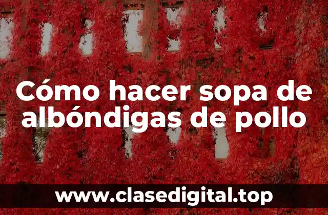 Cómo hacer sopa de albóndigas de pollo