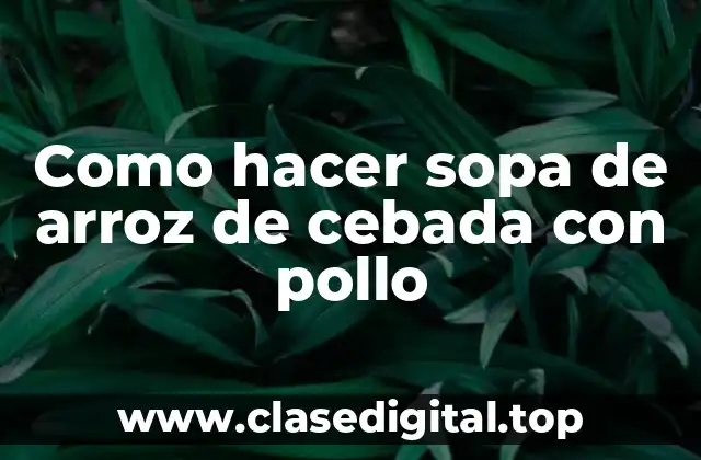 ¿Qué es la sopa de arroz de cebada con pollo y para qué sirve?