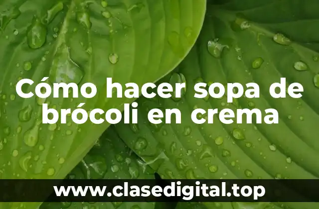 Cómo hacer sopa de brócoli en crema