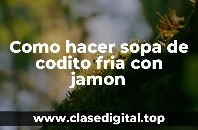 Como hacer sopa de codito fria con jamon