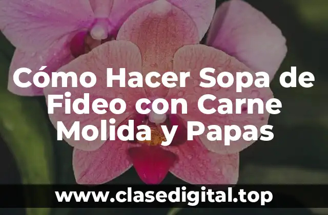 Cómo Hacer Sopa de Fideo con Carne Molida y Papas