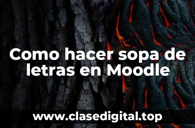 Como hacer sopa de letras en Moodle