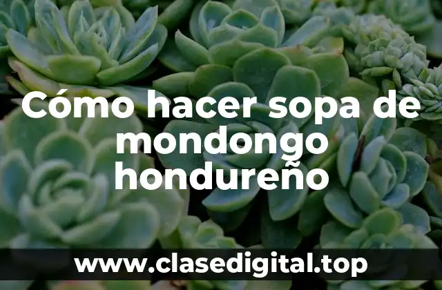 Cómo hacer sopa de mondongo hondureño
