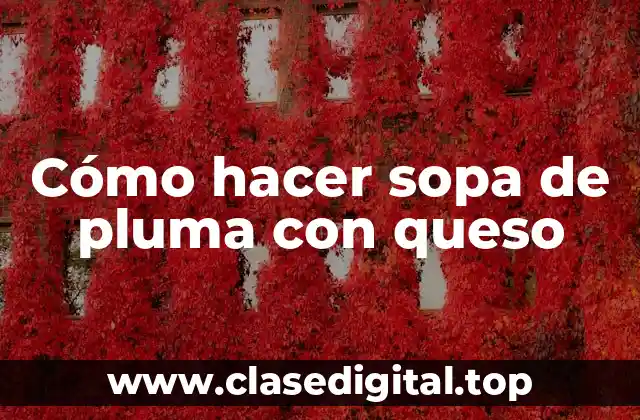 Cómo hacer sopa de pluma con queso