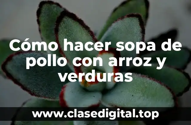 Cómo hacer sopa de pollo con arroz y verduras