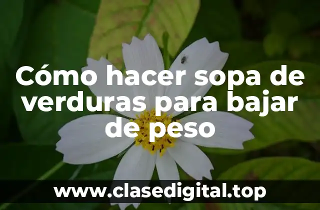 Cómo hacer sopa de verduras para bajar de peso