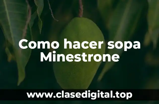 Como hacer sopa Minestrone