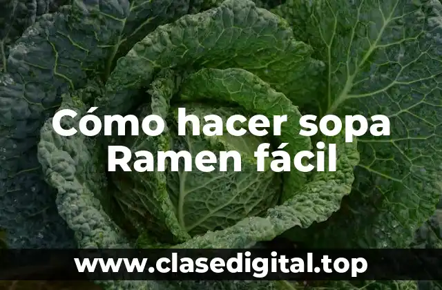 Cómo hacer sopa Ramen fácil