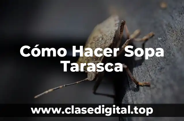 Cómo Hacer Sopa Tarasca
