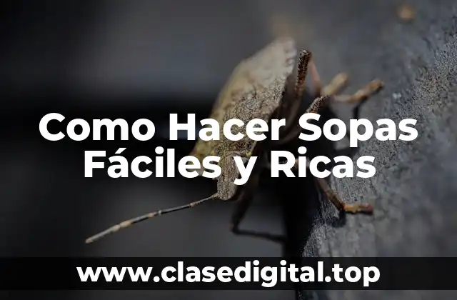 ¿Qué es una Sopa Fácil y Rica?