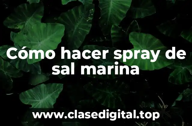 Cómo hacer spray de sal marina