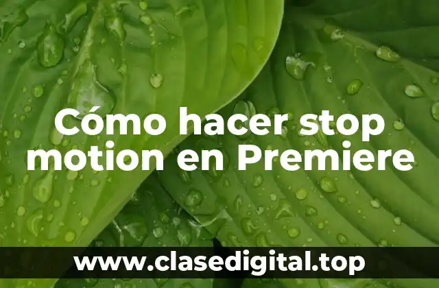 Cómo hacer stop motion en Premiere