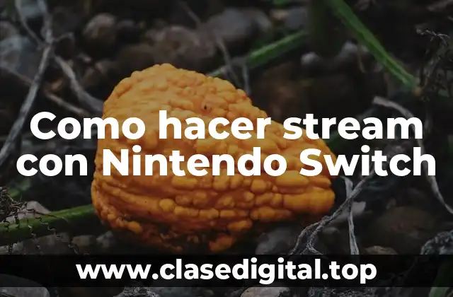 Como hacer stream con Nintendo Switch