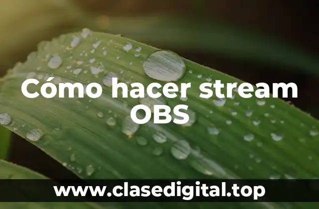 Cómo hacer stream OBS