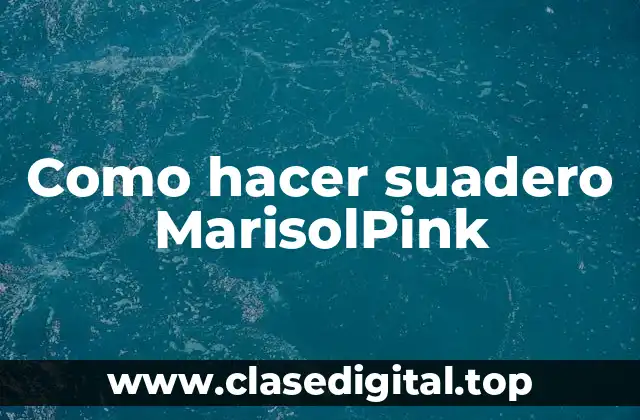 Como hacer suadero MarisolPink