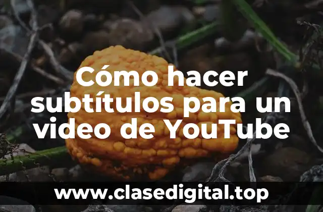 Cómo hacer subtítulos para un video de YouTube