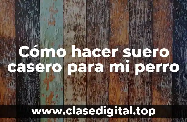 ¿Qué es un suero casero para perros?