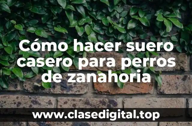 Cómo hacer suero casero para perros de zanahoria