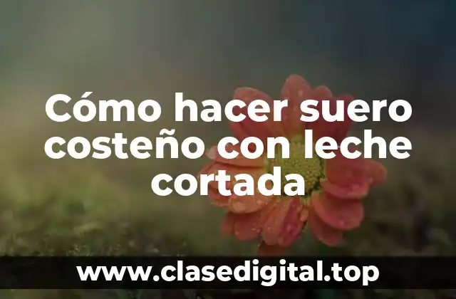 ¿Qué es el suero costeño con leche cortada?