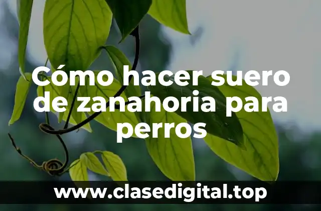 Cómo hacer suero de zanahoria para perros