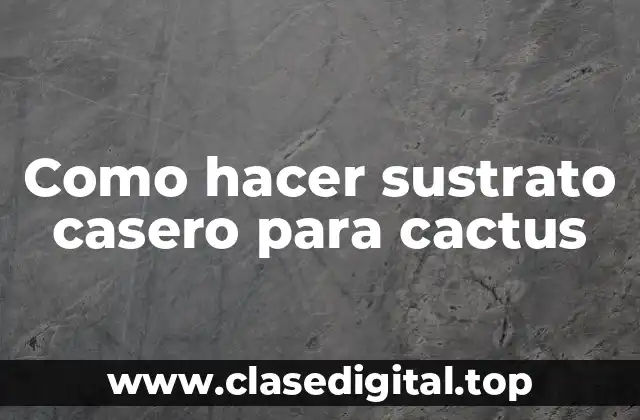 Como hacer sustrato casero para cactus