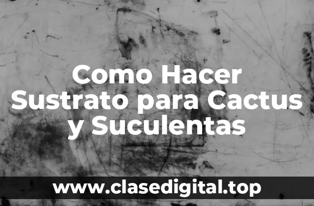 Como Hacer Sustrato para Cactus y Suculentas