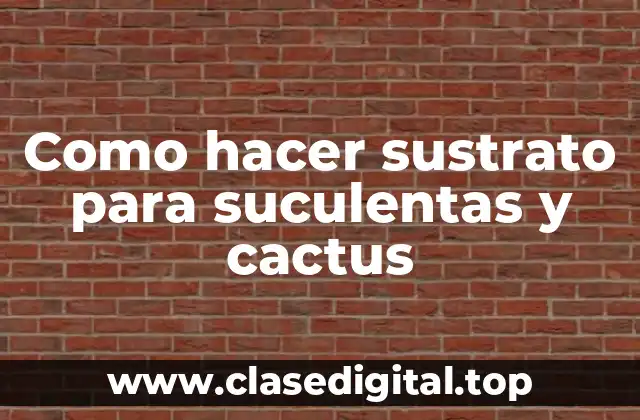 Como hacer sustrato para suculentas y cactus