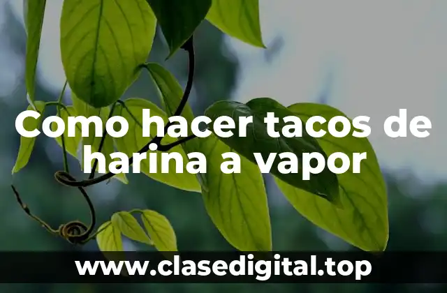 Como hacer tacos de harina a vapor