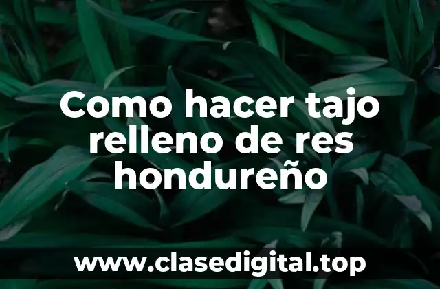 Como hacer tajo relleno de res hondureño