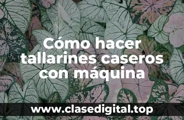 Cómo hacer tallarines caseros con máquina