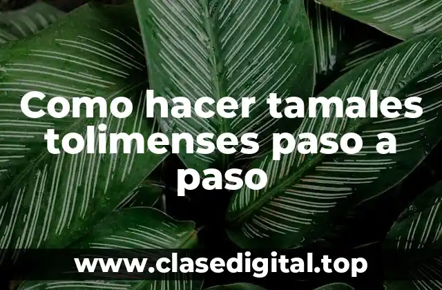 Como hacer tamales tolimenses paso a paso