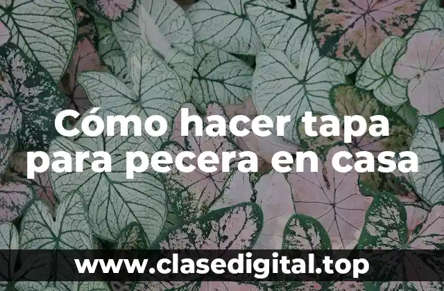 Cómo hacer tapa para pecera en casa