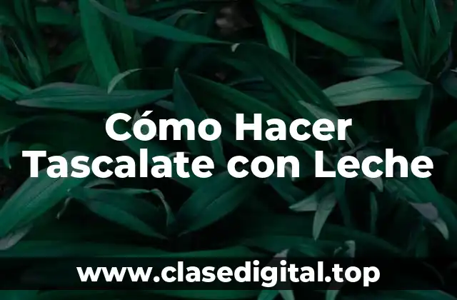 Cómo Hacer Tascalate con Leche