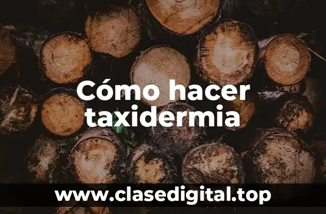 ¿Qué es la taxidermia y para qué sirve?