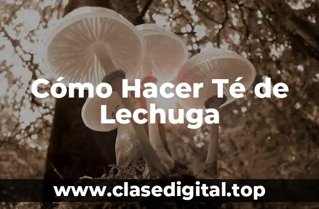 Cómo Hacer Té de Lechuga