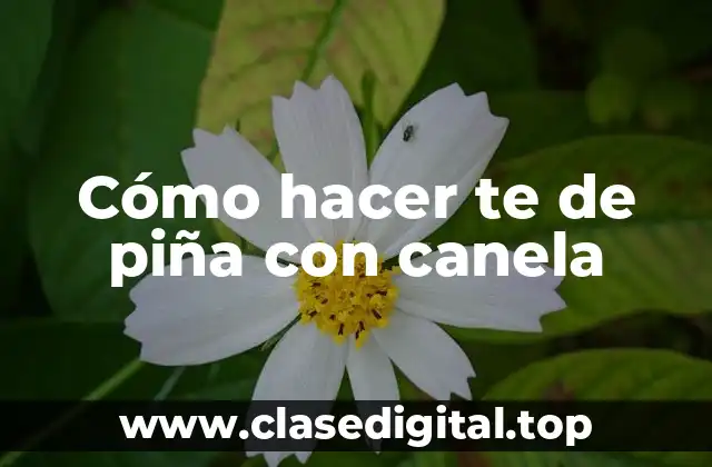 Cómo hacer te de piña con canela