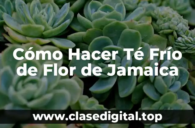 ¿Qué es el Té Frío de Flor de Jamaica y para Qué Sirve?