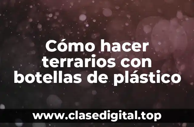 Cómo hacer terrarios con botellas de plástico