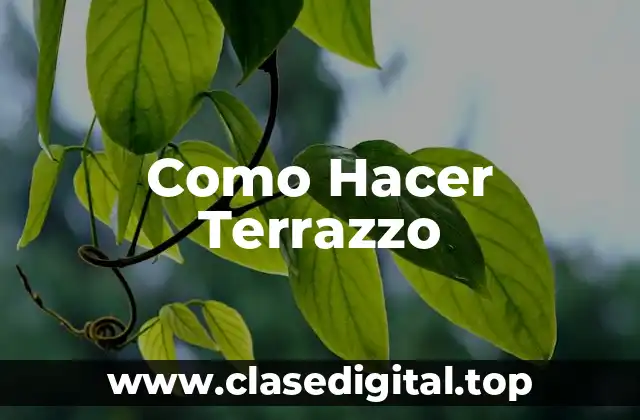 Como Hacer Terrazzo