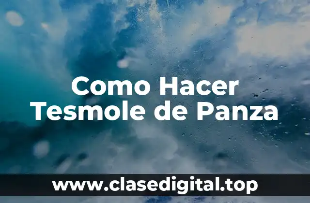Como Hacer Tesmole de Panza