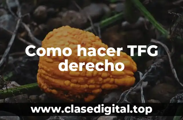 ¿Qué es un TFG en derecho?