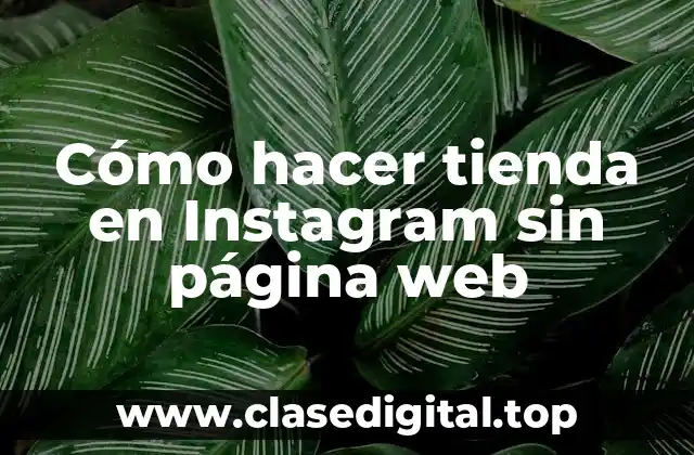 Cómo hacer tienda en Instagram sin página web