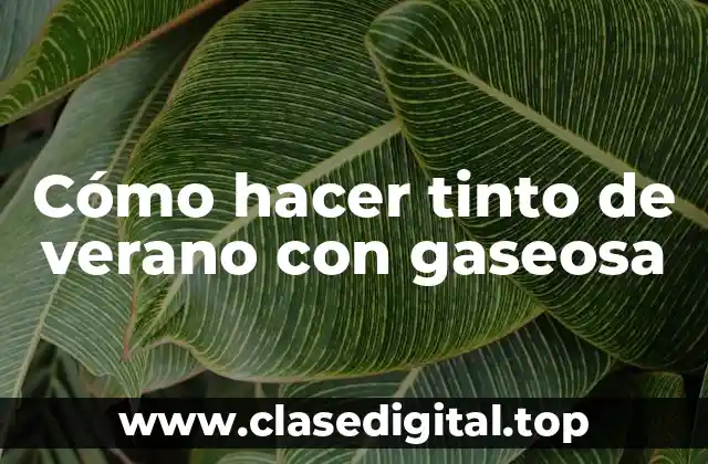 Cómo hacer tinto de verano con gaseosa