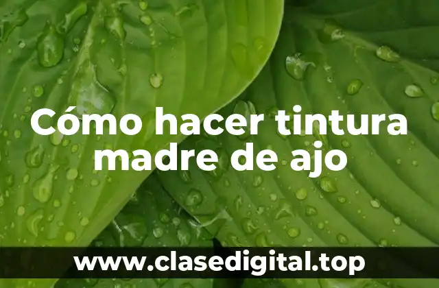Cómo hacer tintura madre de ajo