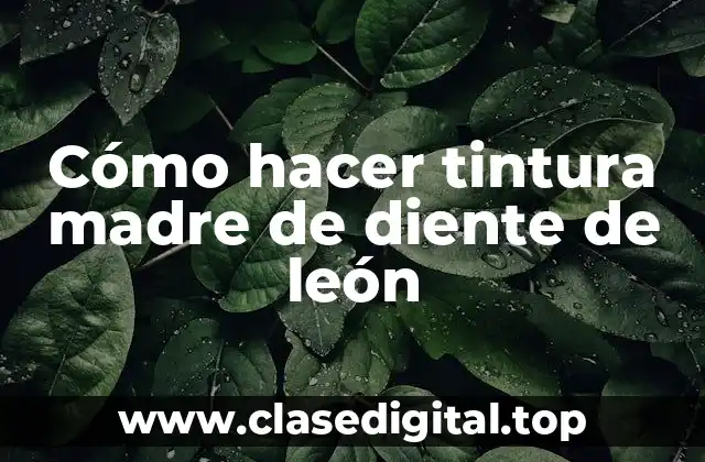 Cómo hacer tintura madre de diente de león