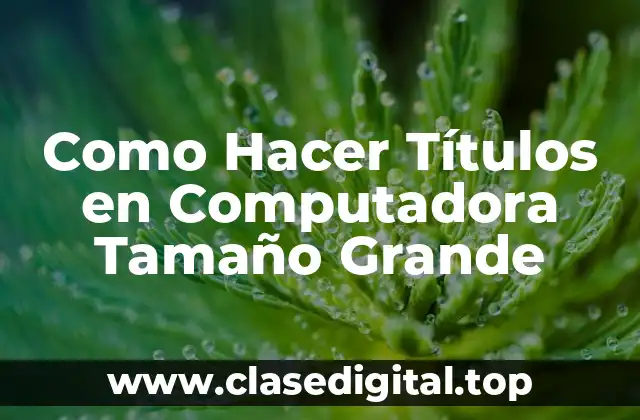 ¿Qué son los Títulos en Computadora Tamaño Grande?