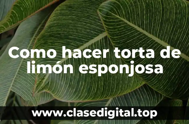 ¿Qué es una torta de limón esponjosa y para qué sirve?