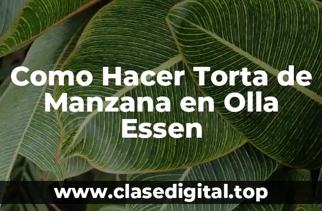 Como Hacer Torta de Manzana en Olla Essen